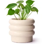 Ceramic Creamy White Planter (6 Inch)