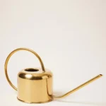 Loopy Watering Can
