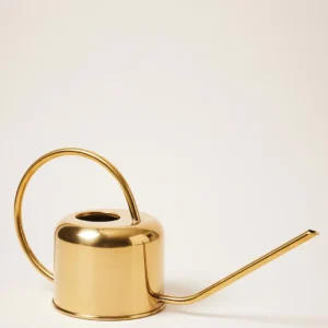 Loopy Watering Can