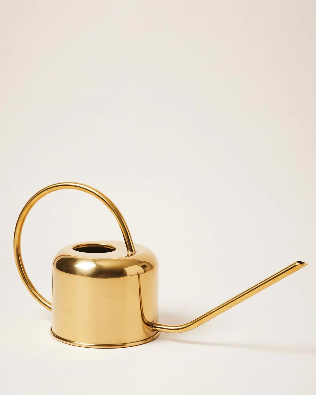Loopy Watering Can